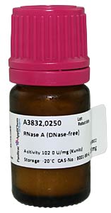 RNase A (DNase-frei), Lieferform: salzfrei, gefriergetrocknet</p>RNase A (DNase-free), Delivery form: salt-free, freeze-dried</p>Laborbedarf,Biochemikalien,Enzyme,RNase A