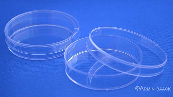 Petrischalen PS 60x14mm mit Nocken, sterilisiert, VE=500 (50x10)Stck<p>Petri dishes 60x14mm with cams, sterilized, pack = 500 (50x10) pcs</p>Laborbedarf,Mikrobiologie,Petrischalen