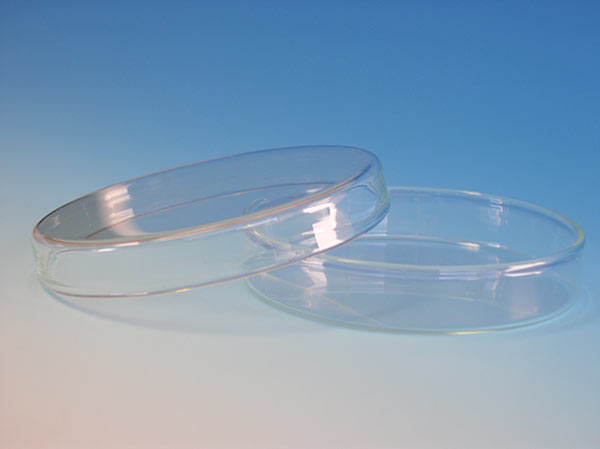 Petrischale nach Petri aus Glas<br>Petri dishes of glass with cover<br>Laborbedarf,Mikrobiologie,Petrischalen