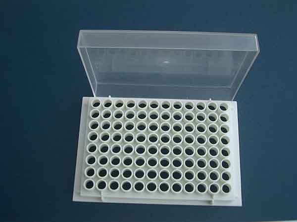 PCR-Rack fr 96 x 0,2 ml PCR-Reaktionsgefe oder 12 x 8 8-er strips