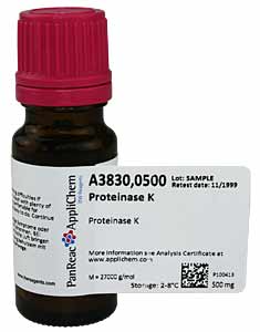 Proteinase K</p>Proteinase K</p>Laborbedarf,Biochemikalien,Enzyme,Proteinase K