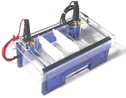 Mini-Horizontal, Agagel Horizontal Gel Elektrophoresis Apparatus for gel size 10,5x8,2cm
