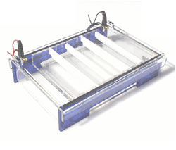 Maxi-Horizontal, Agagel Horizontal Gel Elektrophoresis Apparatus for gel size 25,0x20,4cm