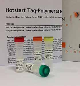 HotStart Taq DNA-Polymerase mit Antikrper (Der Antikrper inhibiert die Polymeraseaktivitt vor dem ersten Denaturierungsschritt),